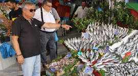 Karadeniz’de istavrit, mezgit ve barbun bereketi