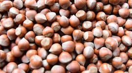 TMO'dan fındık alım açıklaması