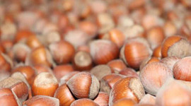 Türkiye en fazla fındığı Almanya'ya sattı