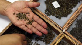 Tarım Kredi'den yem ve tohumda indirim kampanyası