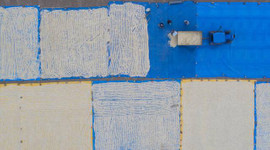 Kabak çekirdeği üreticisinin yüzünü güldürdü