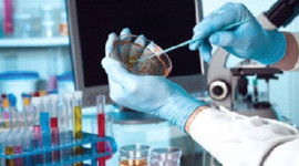 Beş yılda 100 bin patent aldık