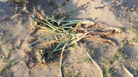 Cezası 60 bin 163 liraya çıkarıldı