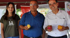 Tanesi 30 liradan satıldı!