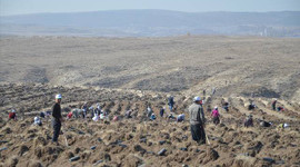 Çorum Guiness Rekorlar kitabında