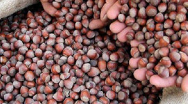 Türkiye'den bir Çin hamlesi daha!