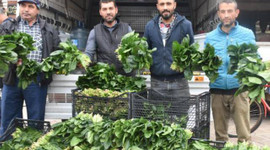 Hepsi çöpe gidiyor