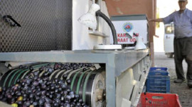 Zeytinyağı alım fiyatı belli oldu