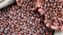 Türkiye'ye 10 ayda yaklaşık 1,6 milyar dolar kazandı