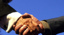 Ansa'nın imtiyazlı hisseleri satıldı