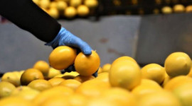 Türkiye 74 ülkeye sattı!