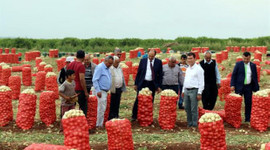 Hindistan'daki kriz Türk üreticilere fırsat oldu