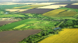 Bakan açıkladı: 16 bin kişiyi toprak sahibi yaptık