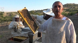 Yeni gelir kapısı oldu! Kilosu 150 lira