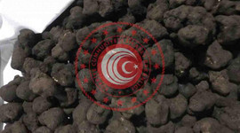 Trüf mantarına yine alıcı çıkmadı