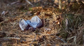 2020 çevre cezaları belli oldu!