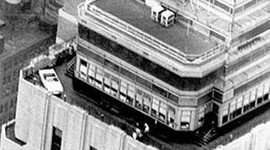 Mustang, Empire State'e çıkıyor