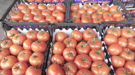 Yaş meyve ve sebze ihracatı 2 milyar 260 milyon dolara ulaştı