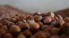 Türkiye geçen yıl en fazla İtalya'ya fındık sattı