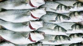 Su ürünleri 1 milyar $ barajını aştı