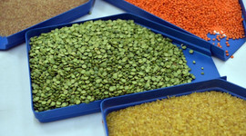 Bakliyatta 2 yıllık stok var