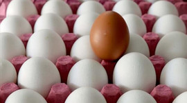 Yumurta üreticilerinden "stoka gerek yok" mesajı