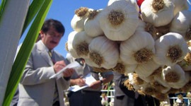 Coronavirüs sonrası 50 yılın en yüksek fiyatlarını gördü