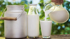 Çiğ süt ve manda-malak destekleri bugün ödenecek