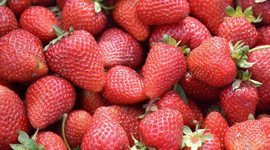 Çilek ihracatçıları Kovid-19 salgını sonrasından umutlu