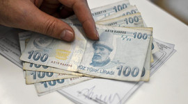 BES'te yabancı para cinsinden devlet katkısı oranı yüzde 10 oldu