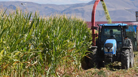 Tarıma Bilim Kurulu ayarı!