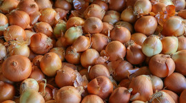 Kuru soğan tarlada 60 kuruş, raflarda 2-3 liraya satılıyor