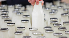 Ticaret Bakanı Pekcan duyurdu; Çin'e süt ve süt ürünleri ihracatının önü açıldı