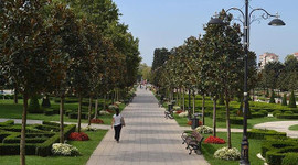 Bakan açıkladı! 10 millet bahçesi daha açılıyor