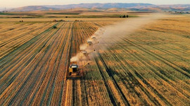 Tarım Kredi "sabit oranlı kredi" faizini düşürerek kapsamını genişletti