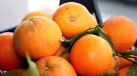 Türk narenciyesini en çok Ruslar tüketti