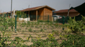 Hazinenin atıl durumdaki 2,2 milyon metrekare arazisi tarıma açıldı