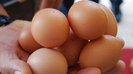 Fiyatlar yükseldi, ihracatı durdu