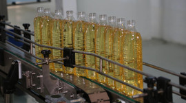 Ordu'dan 7 ülkeye aspir yağı ihracatı