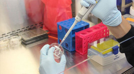 ABD, Johnson&Jonhson’un potansiyel Covid-19 aşısı için 1 milyar dolar ödeyecek