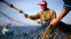 Av yasakları ne zaman kalkacak?