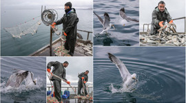 1 Eylül için gün sayıyorlar