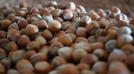 Türkiye en fazla fındığı İtalya'ya sattı