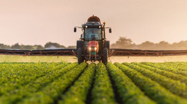 Türkiye'nin 8 aylık ihracatına tarım sektörü damgası