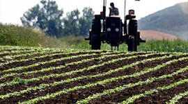 GÜBRETAŞ'la tarımda yüksek verim