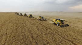 Tarım, ormancılık ve balıkçılık sektörü "aktif" büyüdü