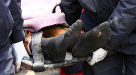 Bankalara çağrı: Sektöre HAYA SİGORTASI yaptırın!