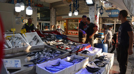 Sinop'ta palamudun 6 tanesi 10 lira