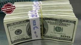 İhracatın gerçek şampiyonları!