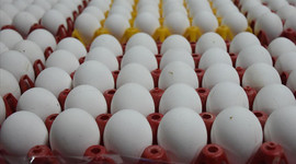 Yumurta fiyatlarında 'denge' hesapları